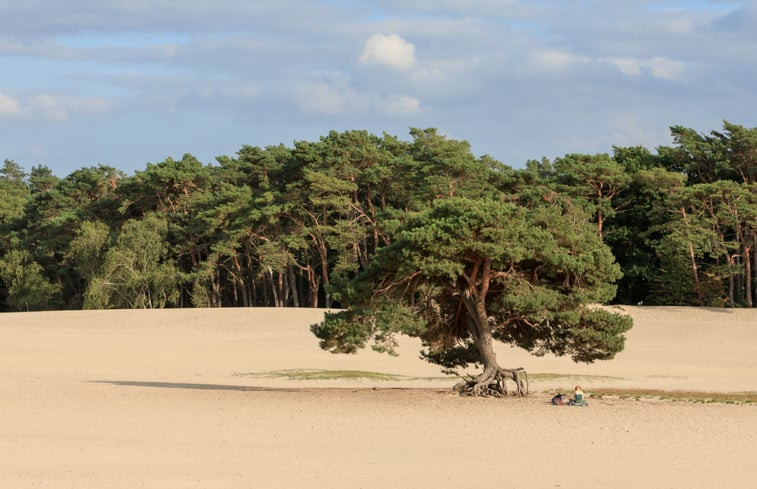 Natuurhuisje in Maarsbergen