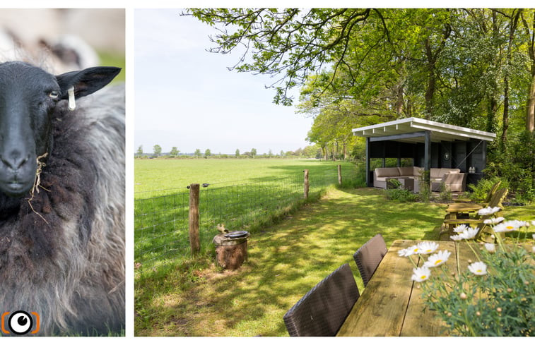 Natuurhuisje in Doldersum