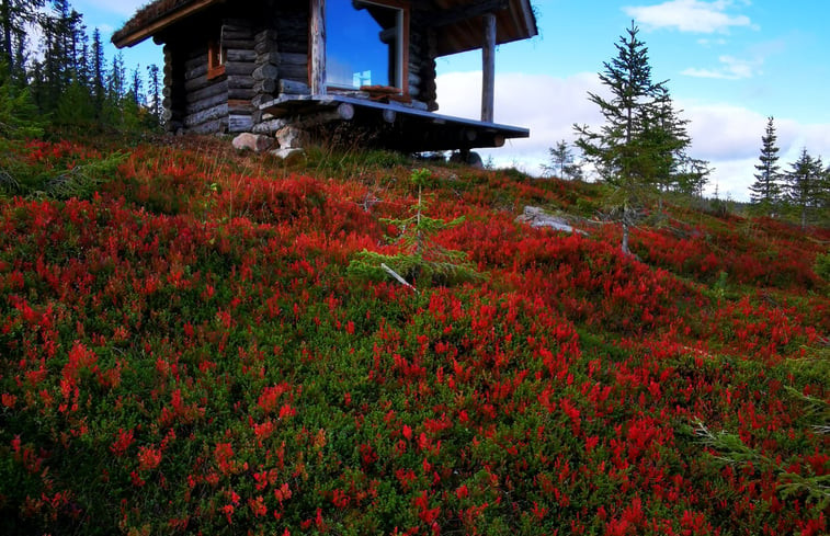 Natuurhuisje in Arjeplog