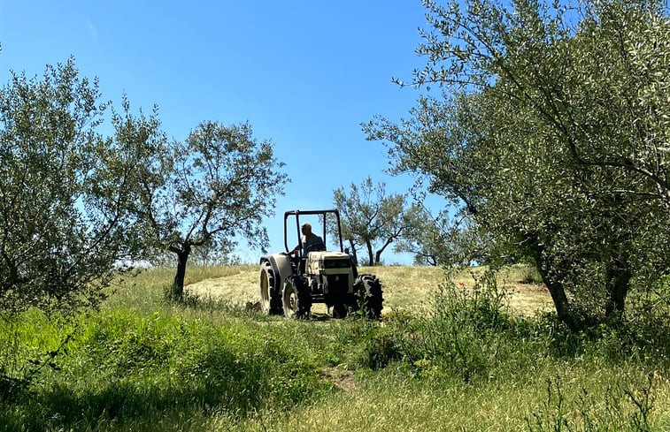 Natuurhuisje in cortona