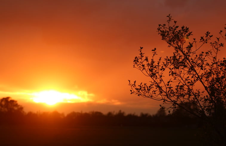 Natuurhuisje in Tonden