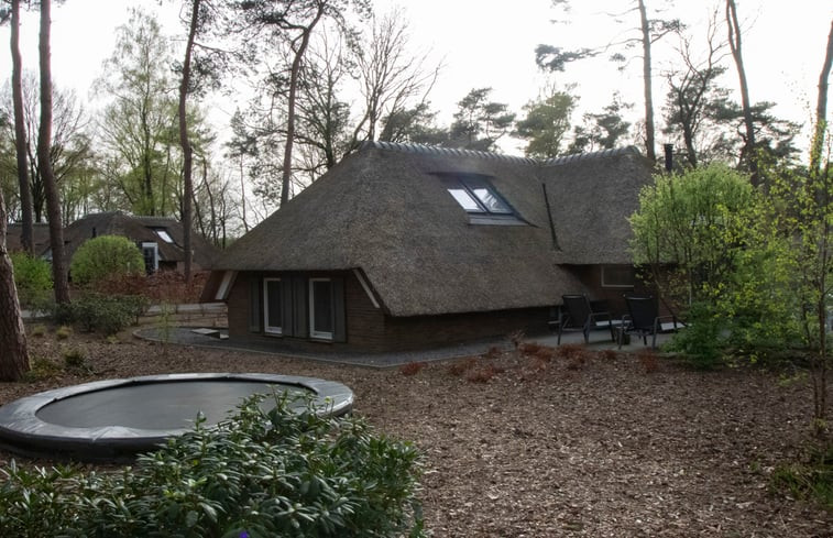 Natuurhuisje in Putten