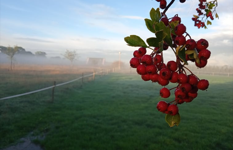 Natuurhuisje in Kwadendamme