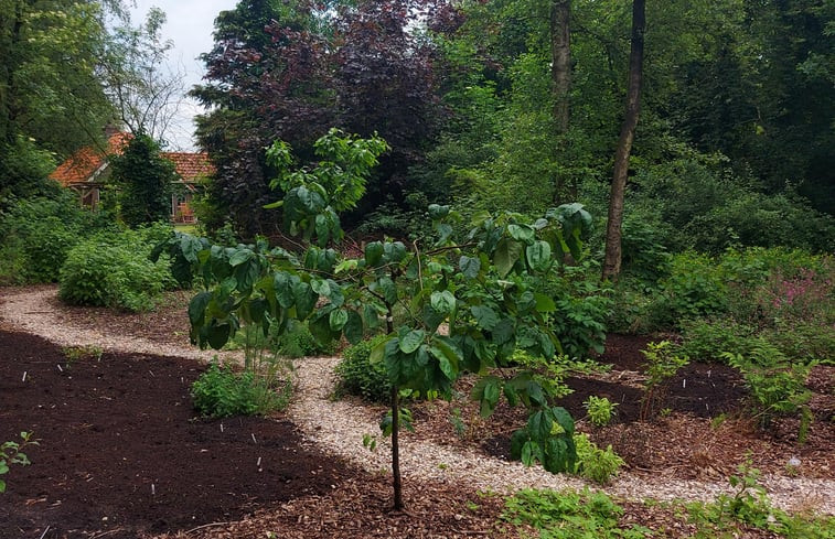 Natuurhuisje in Ommen