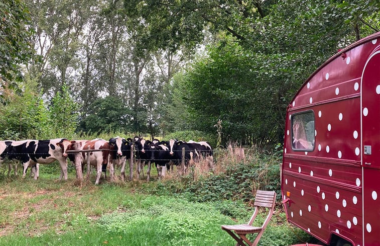 Natuurhuisje in Sint-Oedenrode