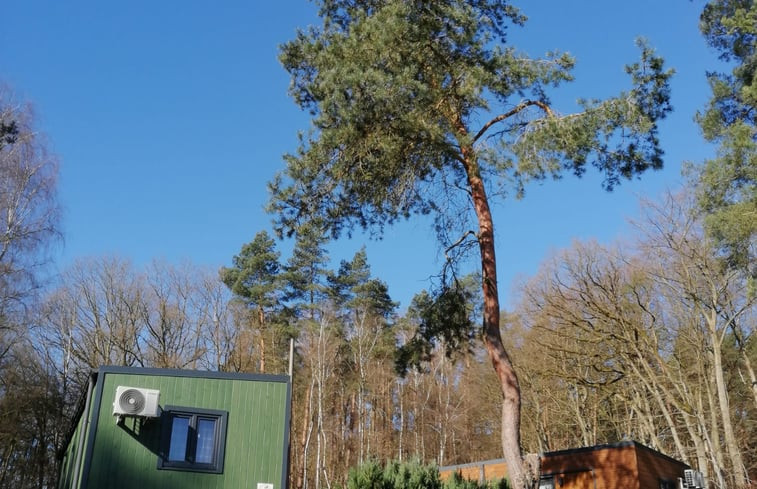 Natuurhuisje in Bad Stuer