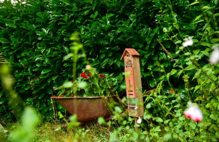 Natuurhuisje in Gasselte