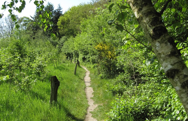 Natuurhuisje in Notter