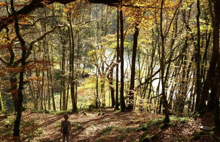 Natuurhuisje in Hour