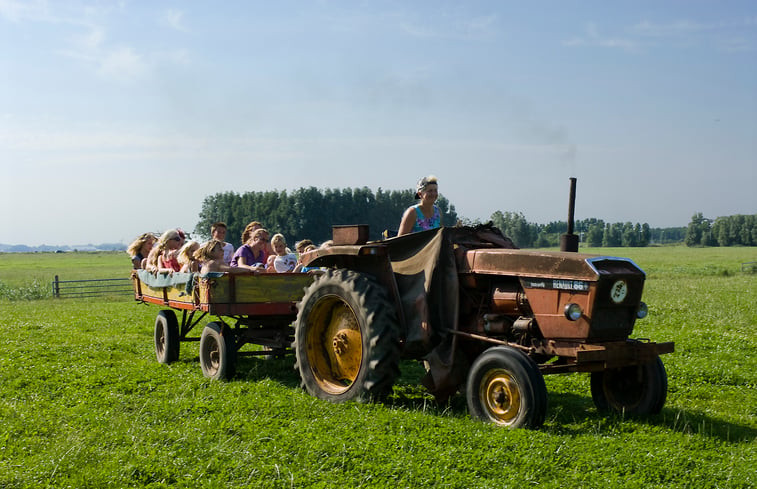 Natuurhuisje in Sint Annaparochie