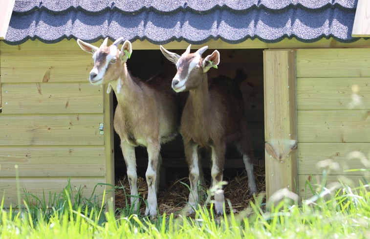 Natuurhuisje in Zutphen