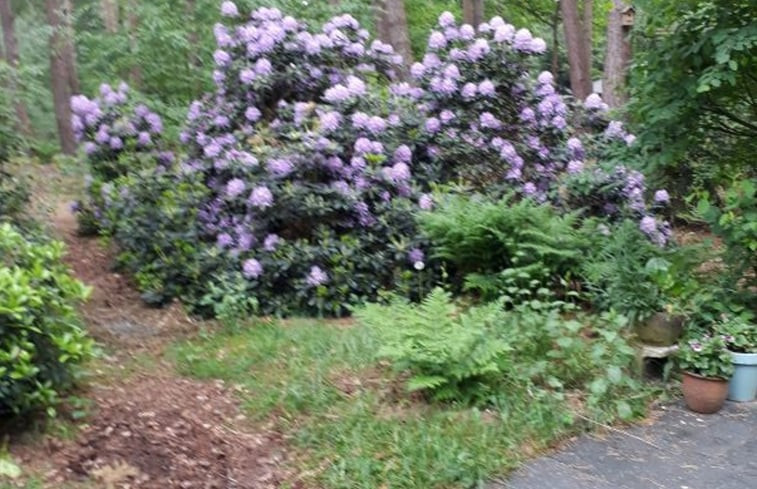 Natuurhuisje in Ommen