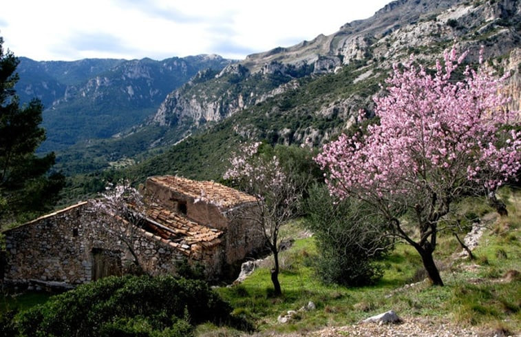 Natuurhuisje in El Perelló