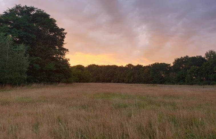 Natuurhuisje in Vorden