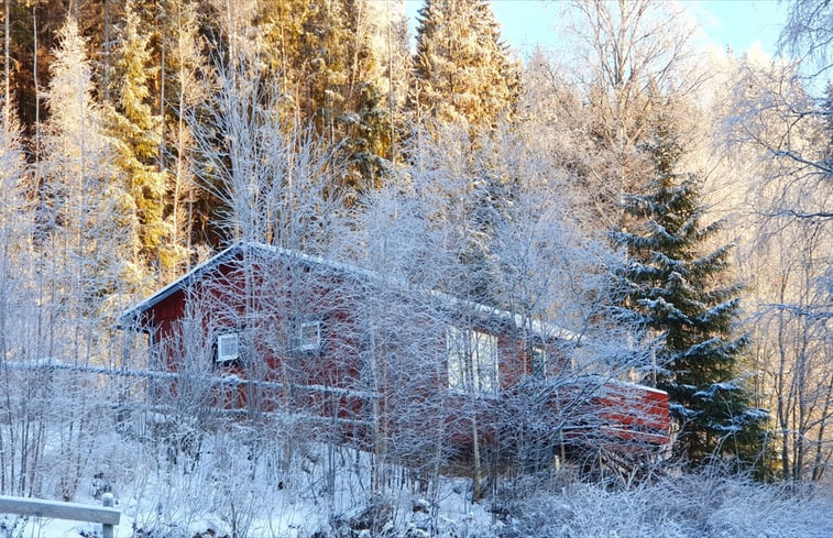 Natuurhuisje in Höljes