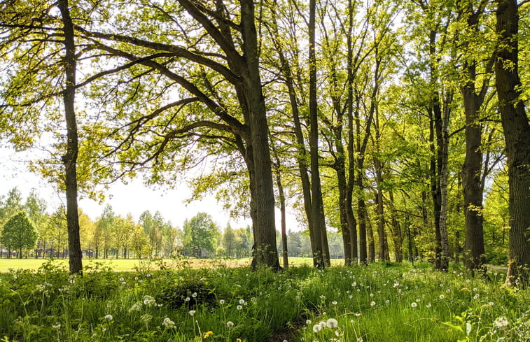 Natuurhuisje in Lieren