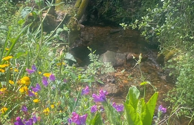 Natuurhuisje in Rochas de Baixo