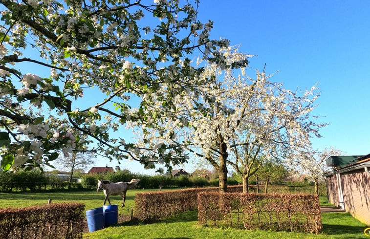 Natuurhuisje in Roggel