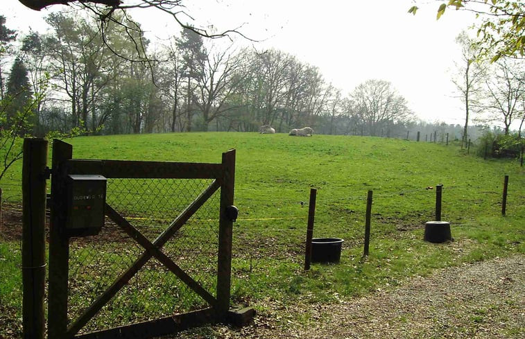 Natuurhuisje in Hoenderloo