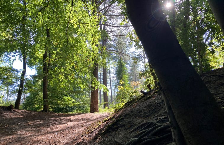 Natuurhuisje in Schoorl