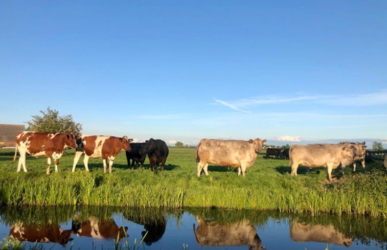 Natuurhuisje in Nieuwveen