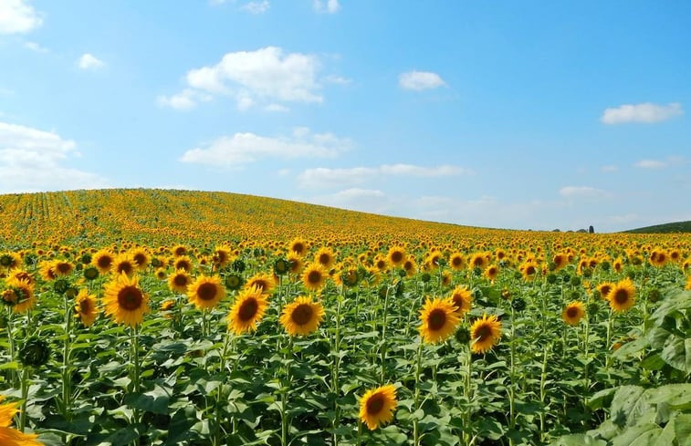 Natuurhuisje in Ferran