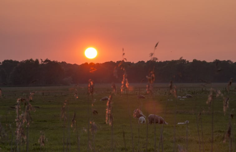 Natuurhuisje in Anderen