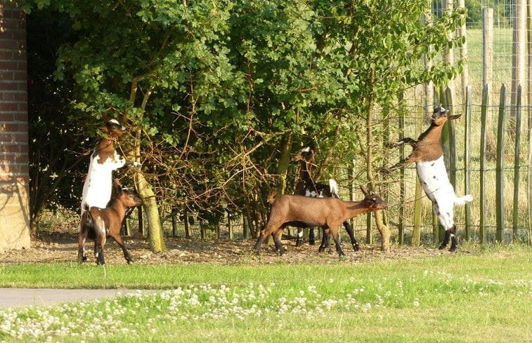 Natuurhuisje in Schin op Geul