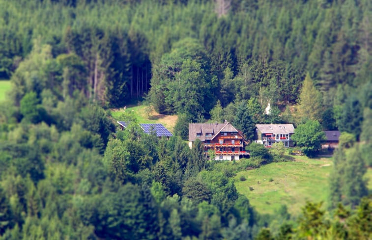 Natuurhuisje in Triberg