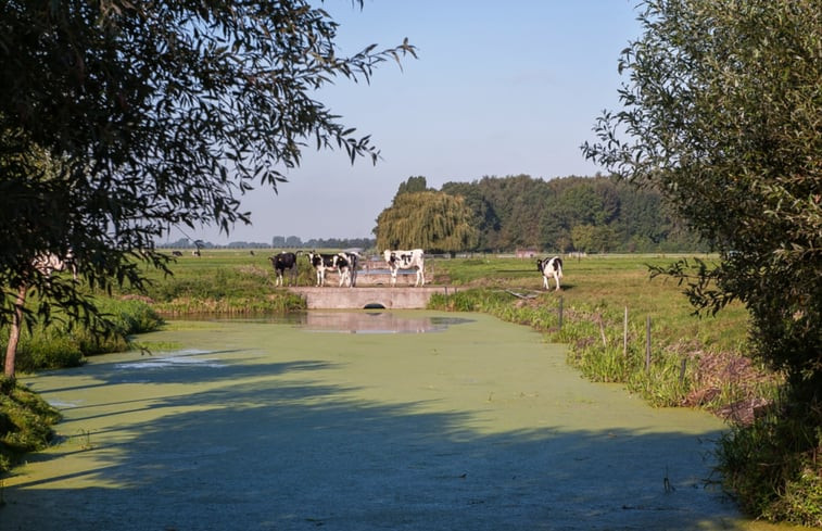 Natuurhuisje in Alphen aan den Rijn