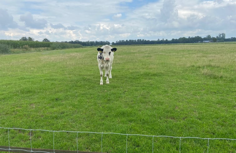 Natuurhuisje in Holten