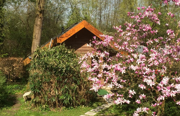 Natuurhuisje in Ubbergen