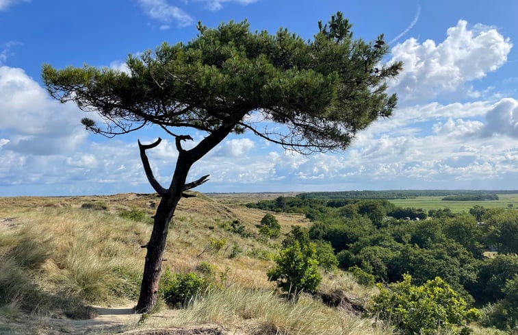 Natuurhuisje in Formerum Terschelling