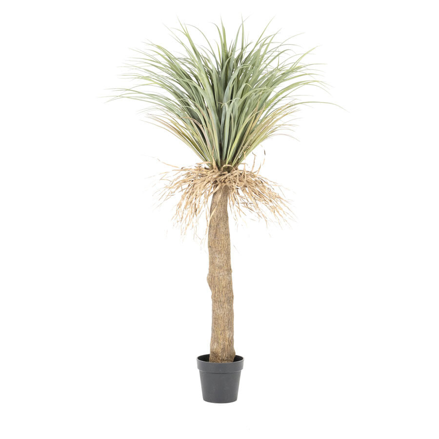 By-Boo Kunstplant Wild Yucca Tree - Groen