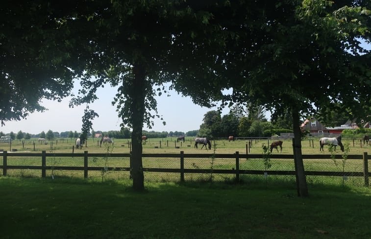 Natuurhuisje in Zwartemeer