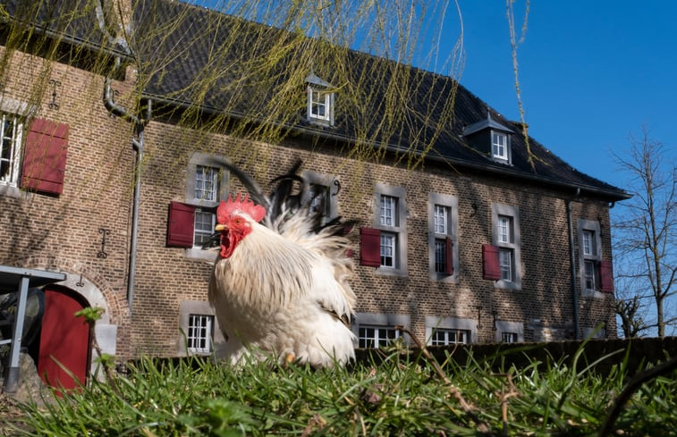 Natuurhuisje in Eijsden-Margraten