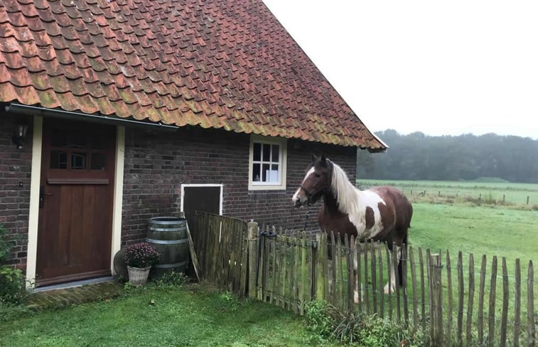 Natuurhuisje in Denekamp