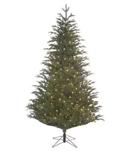 Frasier Kerstboom inclusief led d124 x h185cm