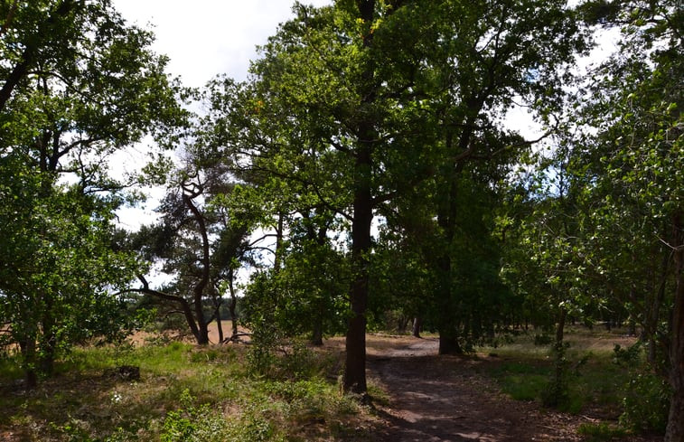 Natuurhuisje in Middelbeers