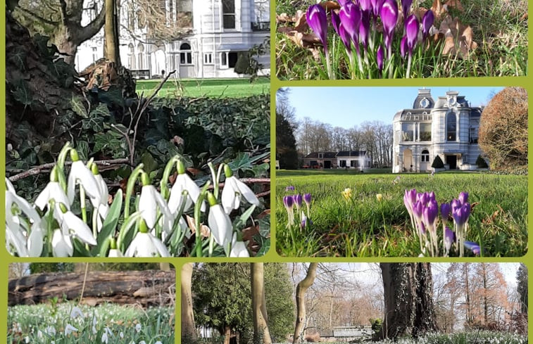 Natuurhuisje in Terwolde