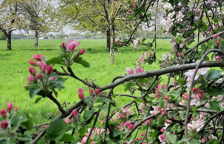 Natuurhuisje in Well