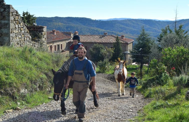 Natuurhuisje in Gaiole in Chianti