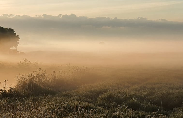 Natuurhuisje in Easterein (Oosterend)