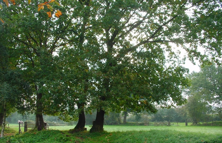 Natuurhuisje in Diever