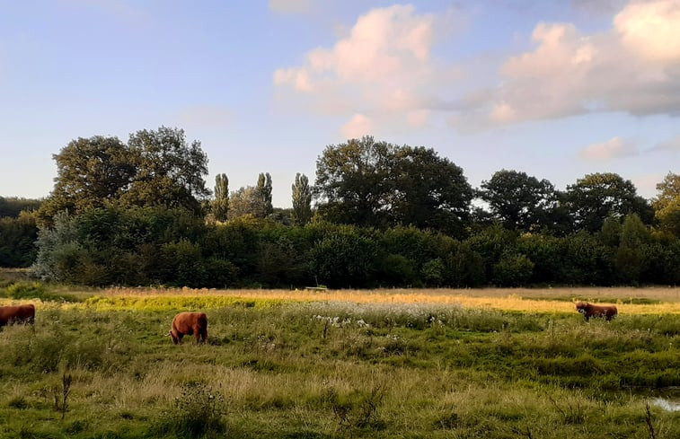 Natuurhuisje in Ruurlo