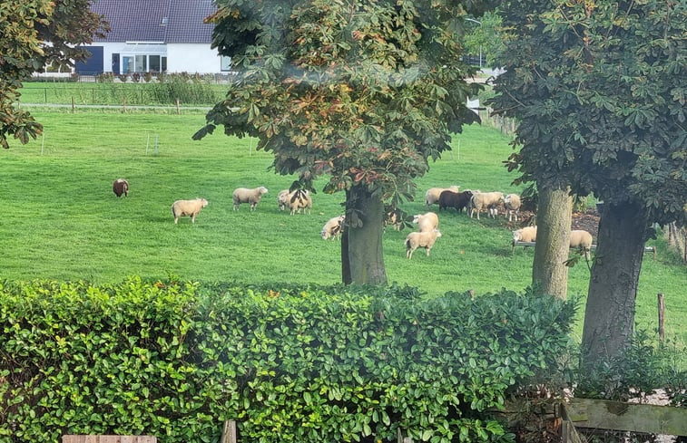 Natuurhuisje in Winssen