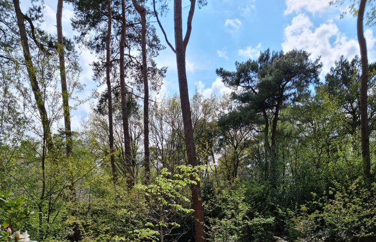 Natuurhuisje in IJhorst