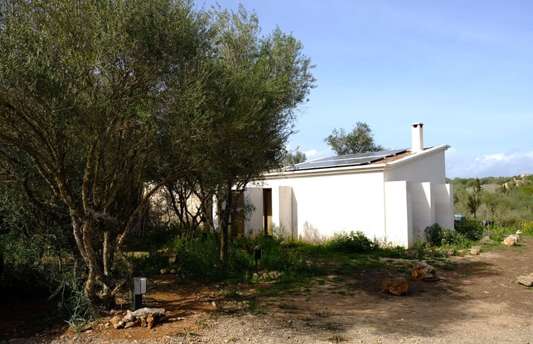 Natuurhuisje in Son Negre. Manacor