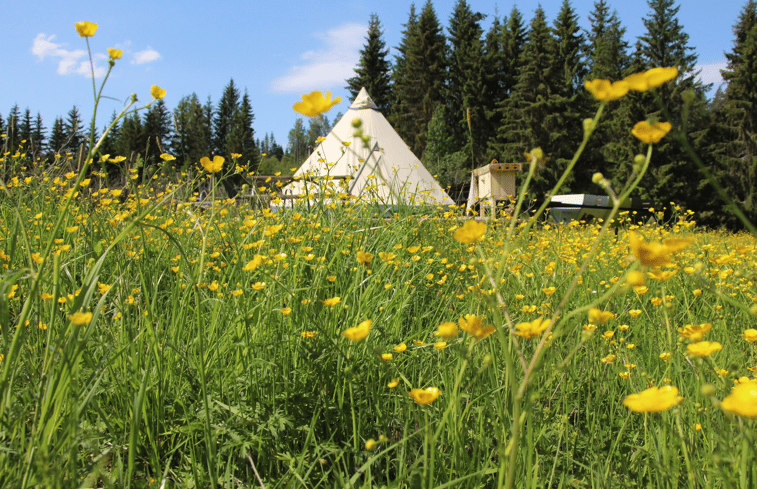 Natuurhuisje in Östra Ämtervik