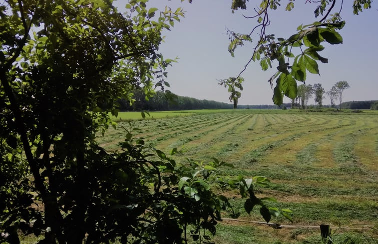 Natuurhuisje in Boijl